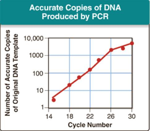 1996_polymerase chain reaction.png